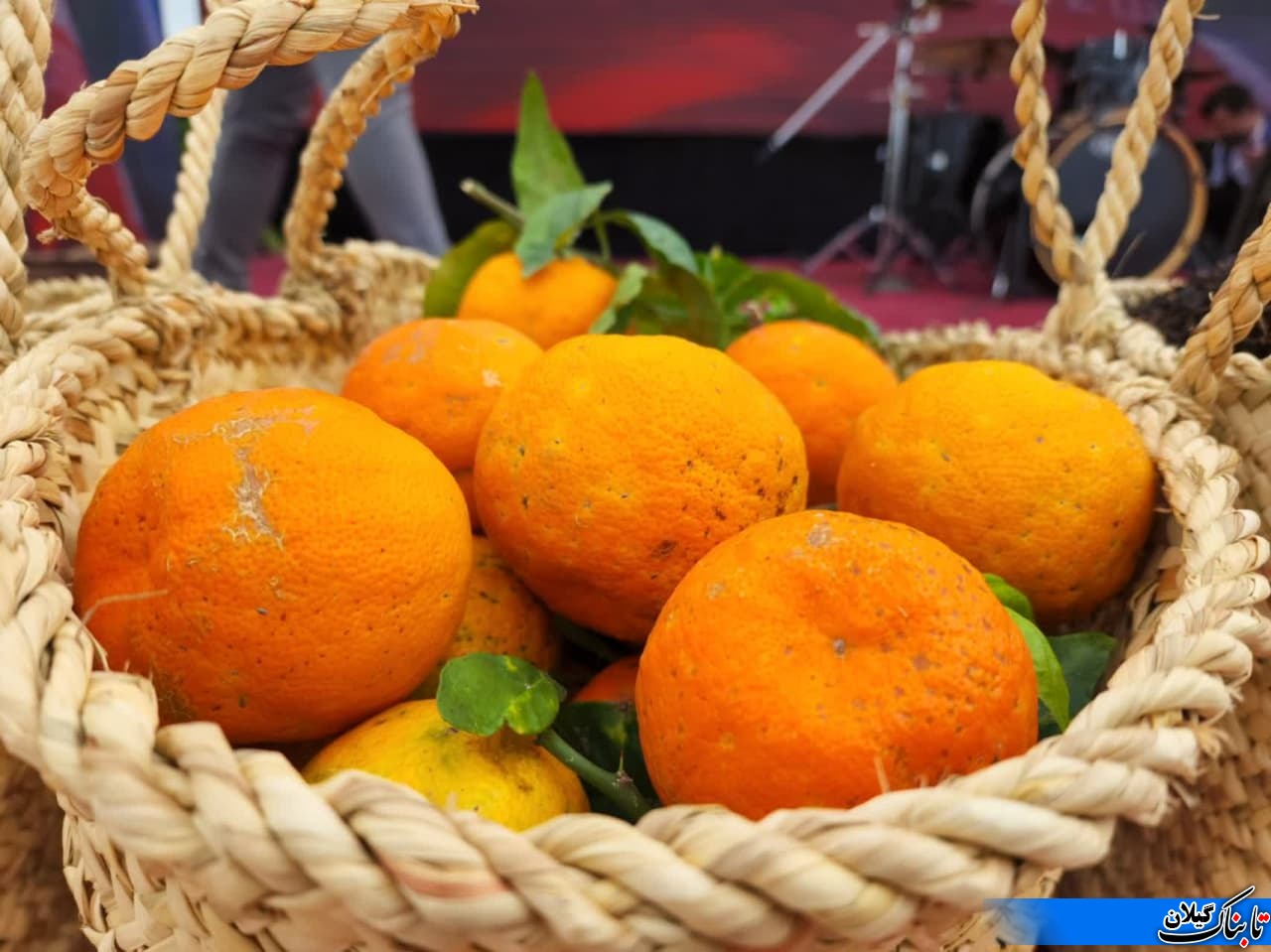 بهار نارنج، جشنواره‌ای برای کارآفرینی و هویت بخشی
