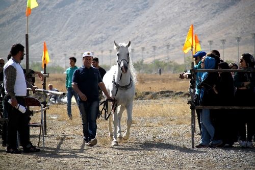 گزارش تصویری دومین همایش زیبایی اسب در اراک