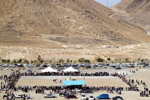 گزارش تصویری دومین همایش زیبایی اسب در اراک