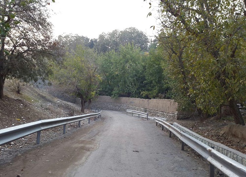 گذری به شمال‌غرب تهران؛ امامزاده شعیب در کوچه‌باغ‌ های کن