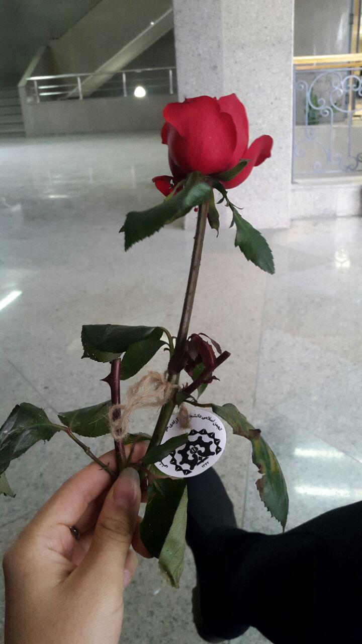 انجمن اسلامی دانشجویان