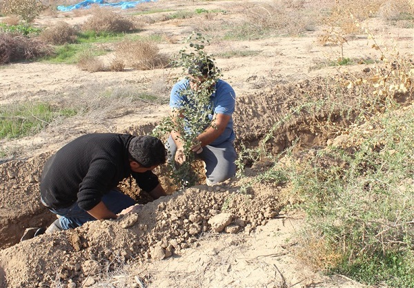 کاشت نهال توسط انجمنهای مردم نهاد در پارکملی کرخه کاشت نهال توسط انجمنهای مردم نهاد در پارکملی کرخه