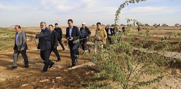 14 هزار هکتار از تالاب منصوره آب اندازی و مرطوب سازی می شود 14 هزار هکتار از تالاب منصوره آب اندازی و مرطوب سازی می شود