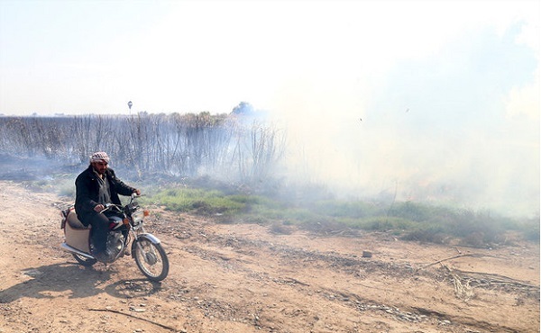 توضیحات شرکت نیشکر خوزستان در مورد سخنان نماینده اهواز