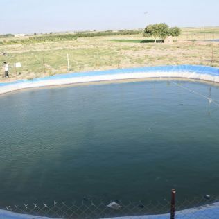 خواهر و برادر خردسال در استخر کشاورزی بوئین زهرا غرق شدند خواهر و برادر خردسال در استخر کشاورزی بوئین زهرا غرق شدند