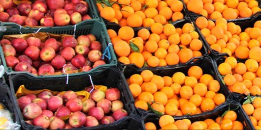 توزیع میوه ستاد تنظیم بازار عید در قزوین آغاز شد توزیع میوه ستاد تنظیم بازار عید در قزوین آغاز شد