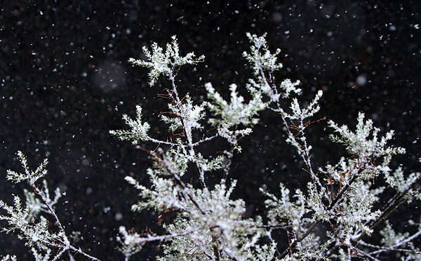 آزادراه قزوین-رشت همچنان مسدود است/بارش برف در جادههای ۱۶ استان آزادراه قزوین-رشت همچنان مسدود است/بارش برف در جادههای ۱۶ استان