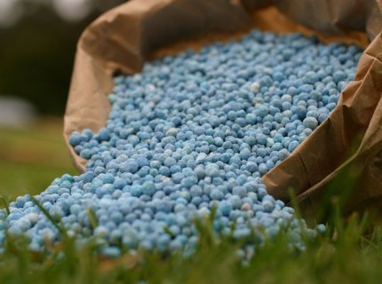 توزیع بیش از ۵۰ هزار تن کود شیمیایی در گیلان توزیع بیش از ۵۰ هزار تن کود شیمیایی در گیلان