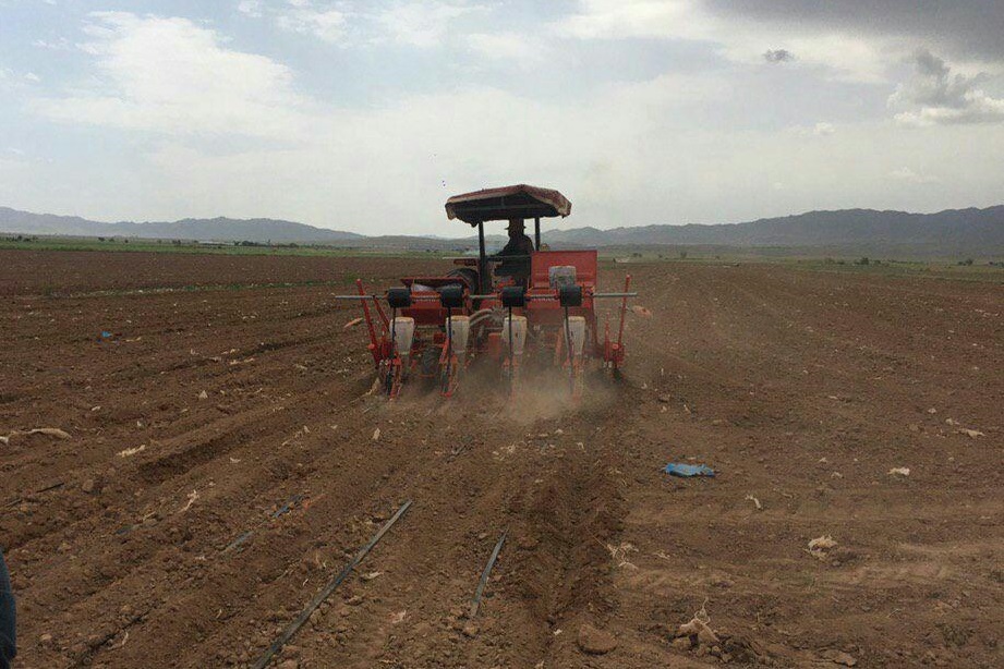 کشت پنبه در سطح 150 هکتار از مزارع کشاورزی بوئین زهرا آغاز شد کشت پنبه در سطح 150 هکتار از مزارع کشاورزی بوئین زهرا آغاز شد