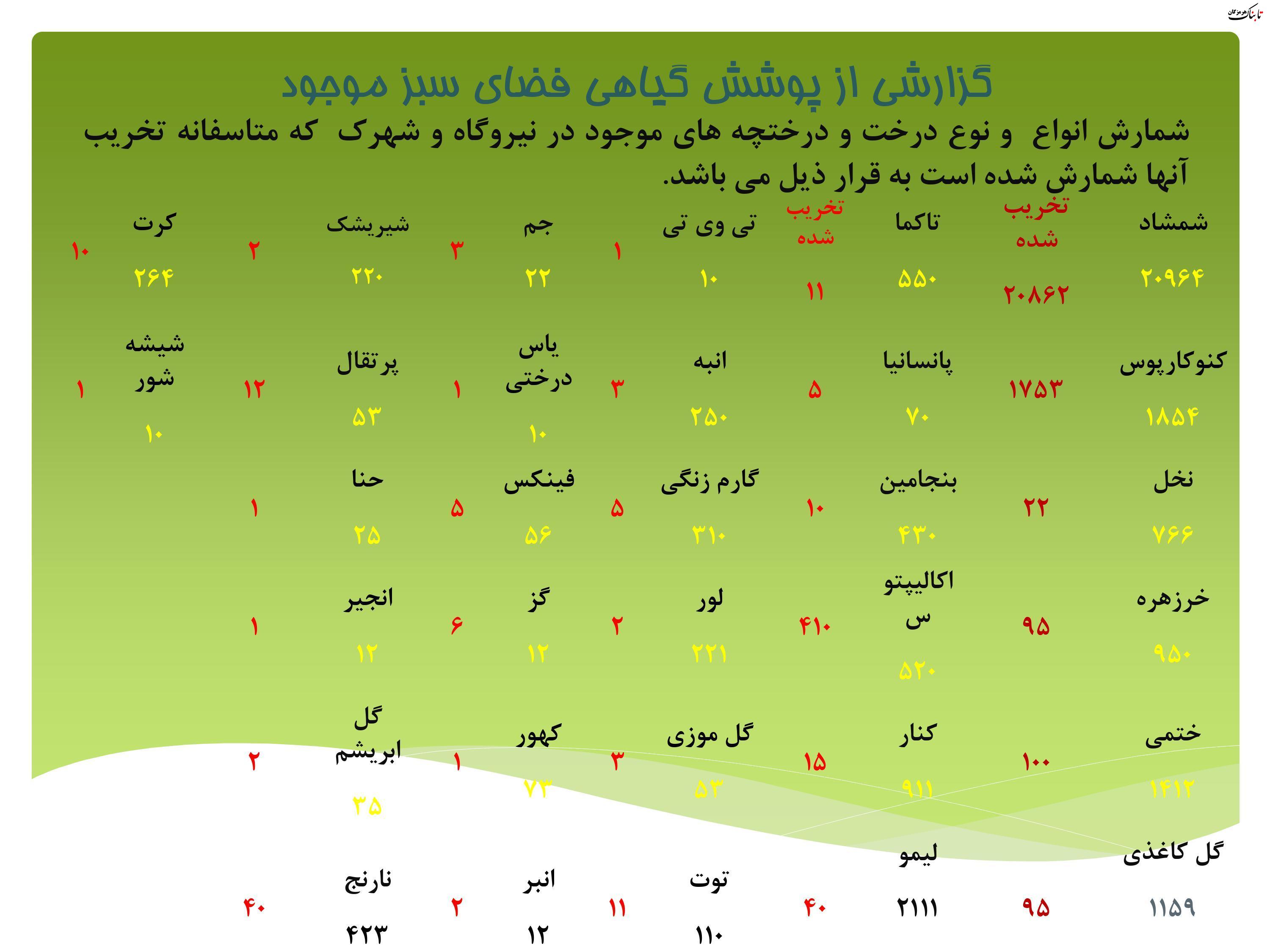 حکایت نابودی محیط‌ زیست (فضای سبز و زیست بوم) توسط نیروگاه بندرعباس