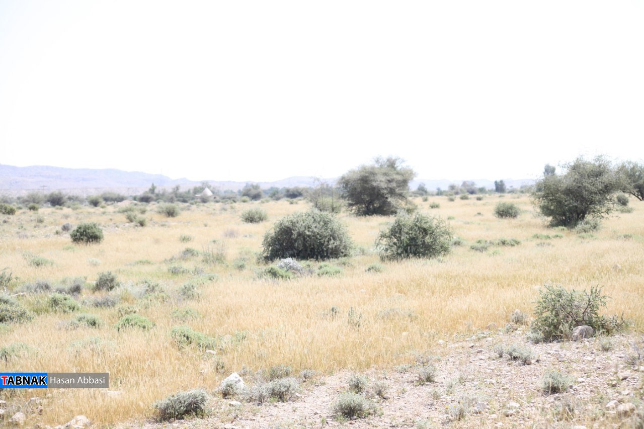 تنگ خلیل تنگ خلیل