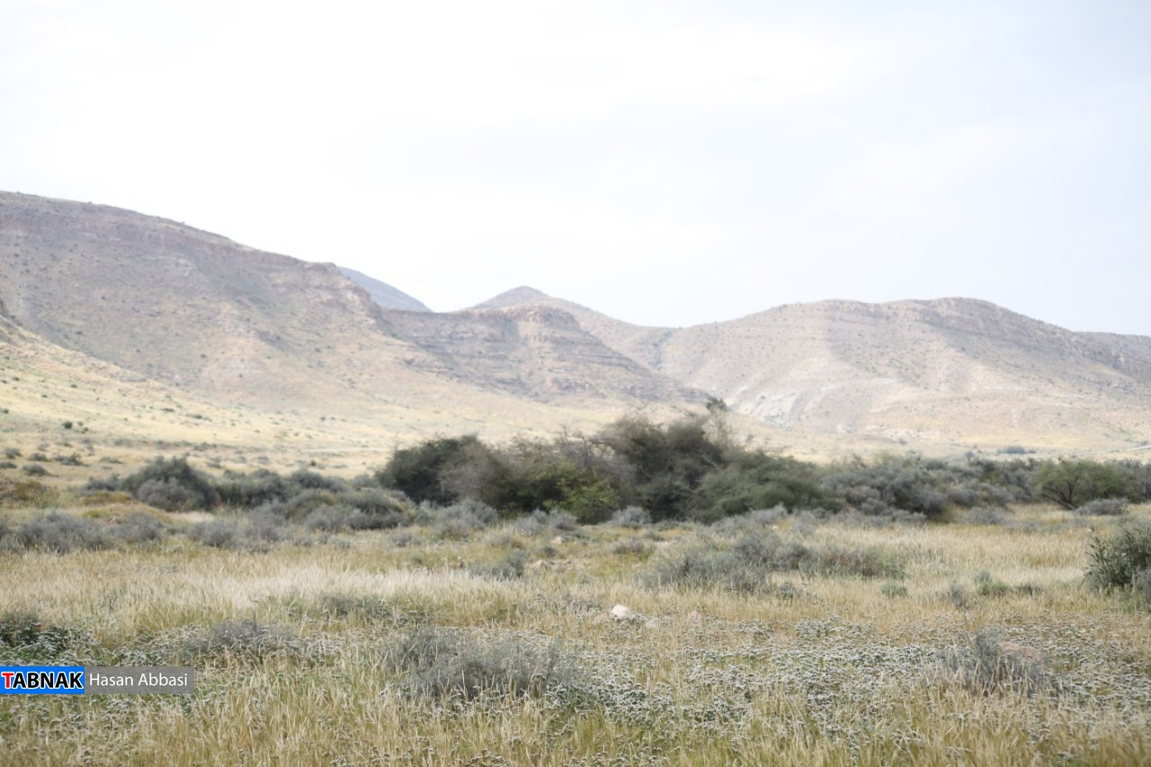 قنات کهن قنات کهن