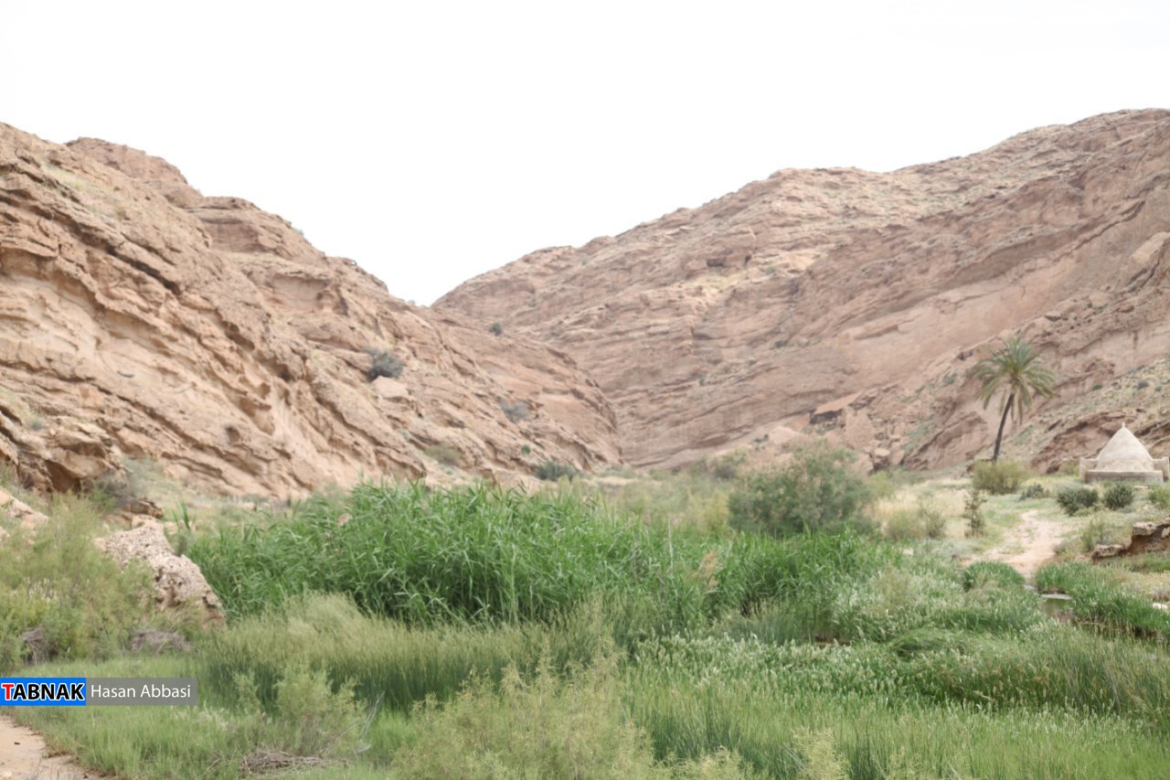 تاگزو تاگزو