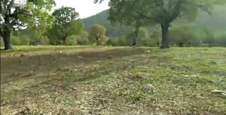 واکنش دادستان عمومی و انقلاب مرکز استان به انتشار یک کلیپ / پرونده یک متخلف به دادگاه کیفری ارسال شد + تصاویر واکنش دادستان عمومی و انقلاب مرکز استان به انتشار یک کلیپ / پرونده یک متخلف به دادگاه کیفری ارسال شد + تصاویر