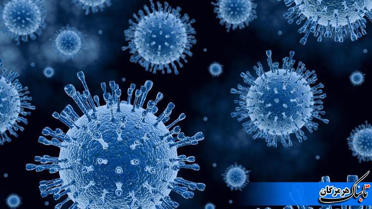نگراني جديدي به نام قارچ سياه/ ابتلا به کرونا موجب قارچ سياه نميشود بلکه روند بروز قارچ سياه به دليل ريسک استفاده برخي داروهاي مربوط به درمان عوارض کرونا است