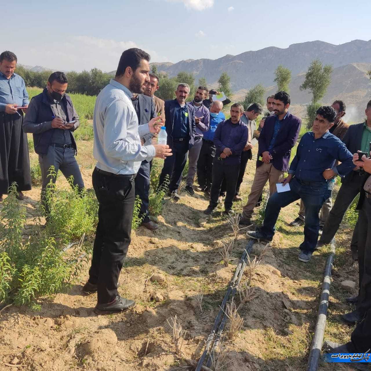 لنده، توان تولید « گیاهان دارویی» خود را افزایش میدهد/کاشت یک میلیون نشای گیاهان دارویی در سال ۱۴۰۱+تصاویر+تصاویر لنده، توان تولید « گیاهان دارویی» خود را افزایش میدهد/کاشت یک میلیون نشای گیاهان دارویی در سال ۱۴۰۱+تصاویر+تصاویر
