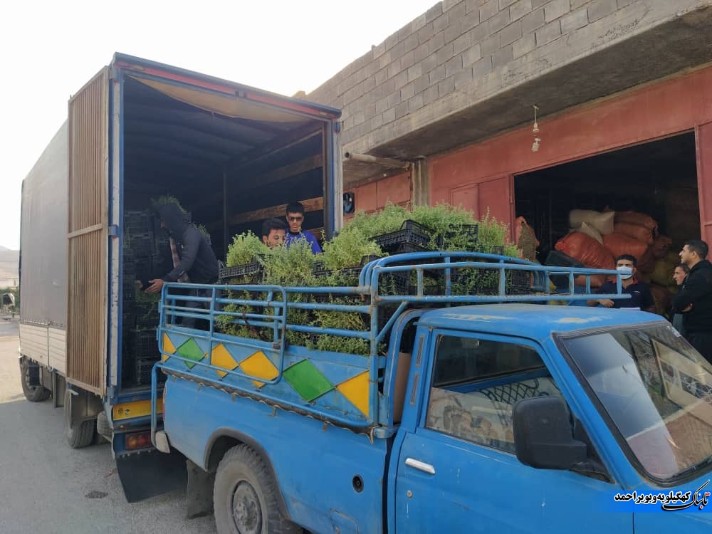 لنده، توان تولید « گیاهان دارویی» خود را افزایش میدهد/کاشت یک میلیون نشای گیاهان دارویی در سال ۱۴۰۱+تصاویر+تصاویر لنده، توان تولید « گیاهان دارویی» خود را افزایش میدهد/کاشت یک میلیون نشای گیاهان دارویی در سال ۱۴۰۱+تصاویر+تصاویر