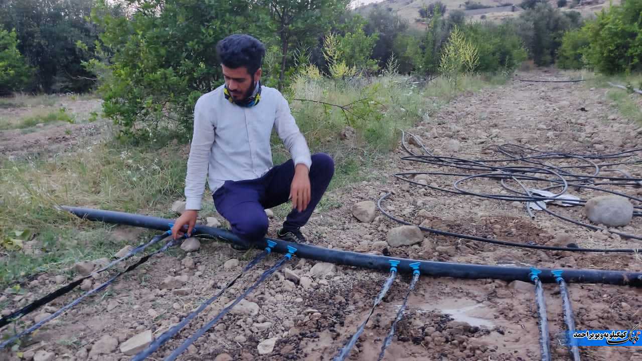 لنده، توان تولید « گیاهان دارویی» خود را افزایش میدهد/کاشت یک میلیون نشای گیاهان دارویی در سال ۱۴۰۱+تصاویر+تصاویر لنده، توان تولید « گیاهان دارویی» خود را افزایش میدهد/کاشت یک میلیون نشای گیاهان دارویی در سال ۱۴۰۱+تصاویر+تصاویر