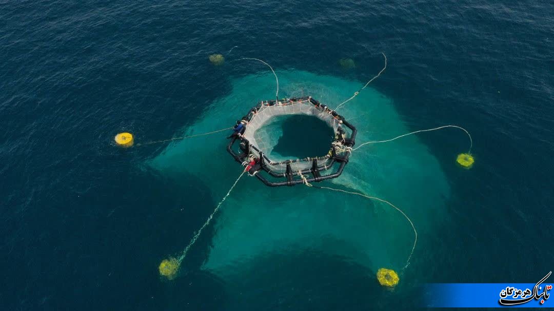 آیین بهره برداری از طرح آزمایشی پرورش ماهی در قفس با استفاده از قفس های پایه کششی نیمه مغروق و شروع فاز توسعه با ظرفیت 1000 تن