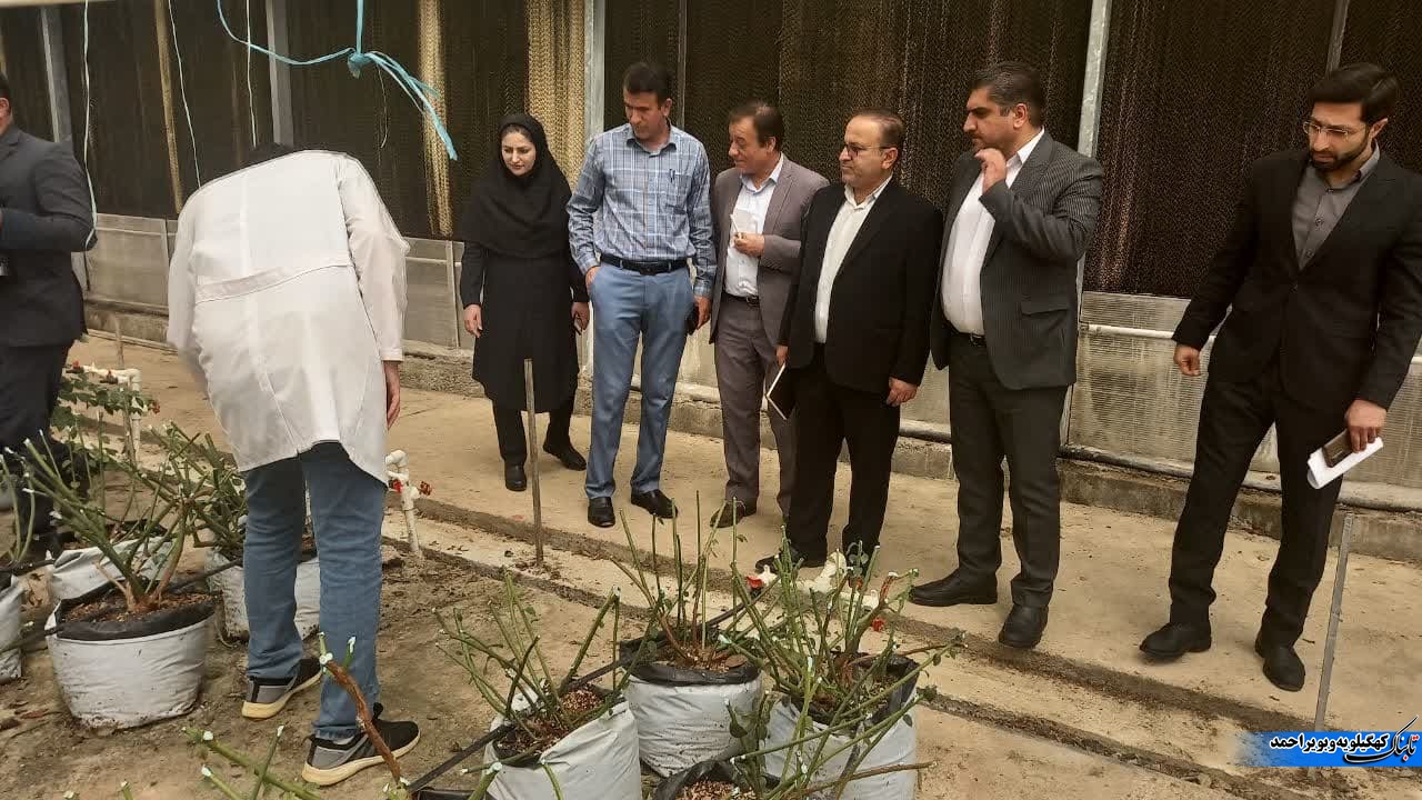 روایت صالحی از مهمترین مشکلات بخش کشاورزی / پیشنهادات بیش از ۱۰ هزار میلیاردی معتمدی برای سفر دوم دولت