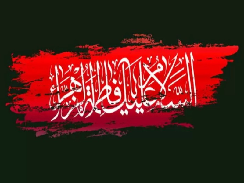 پویش بزرگ دانشجویی مهمان فاطمیه برگزار میشود