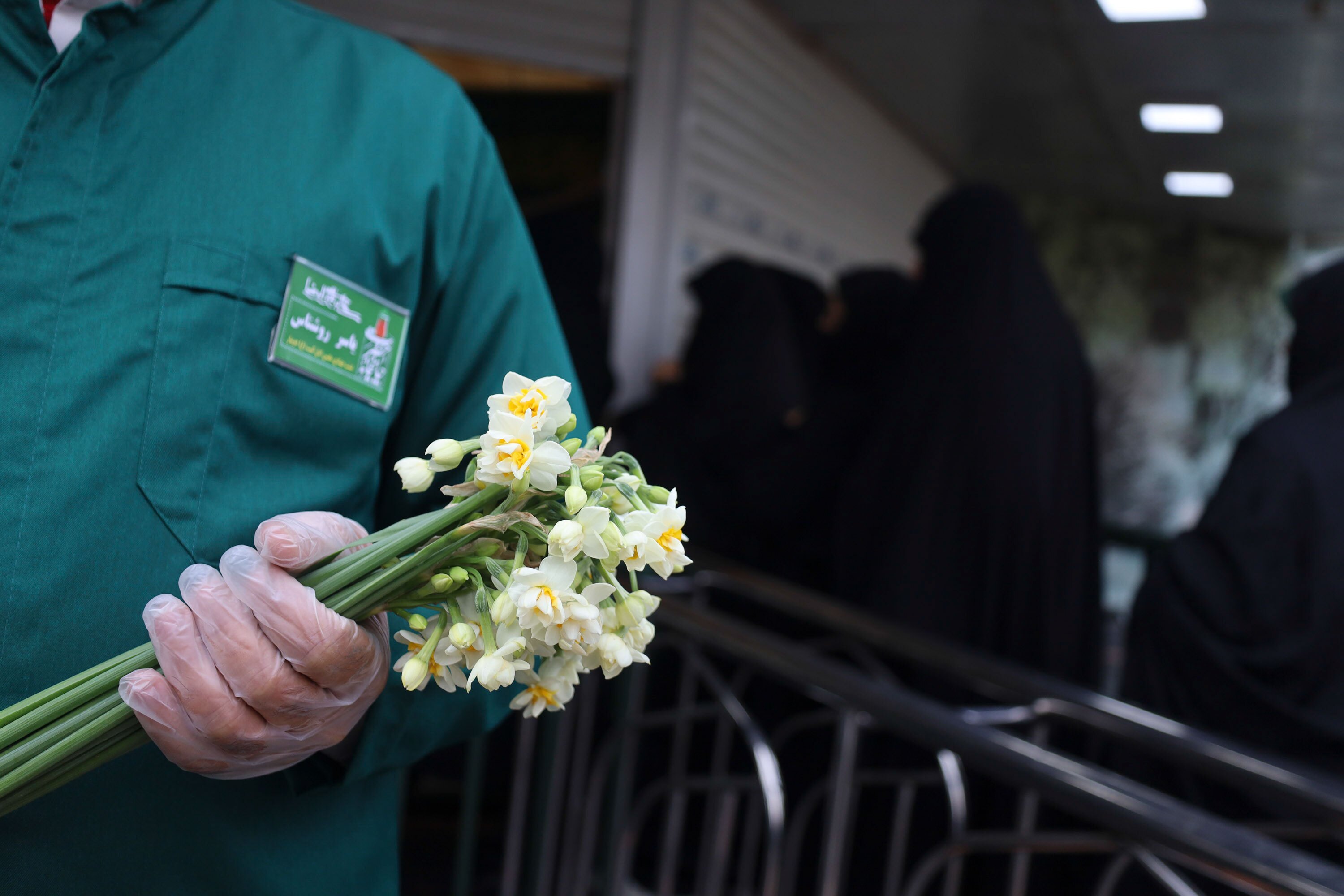 توزیع گل نرگس در چایخانه حرم مطهر رضوی