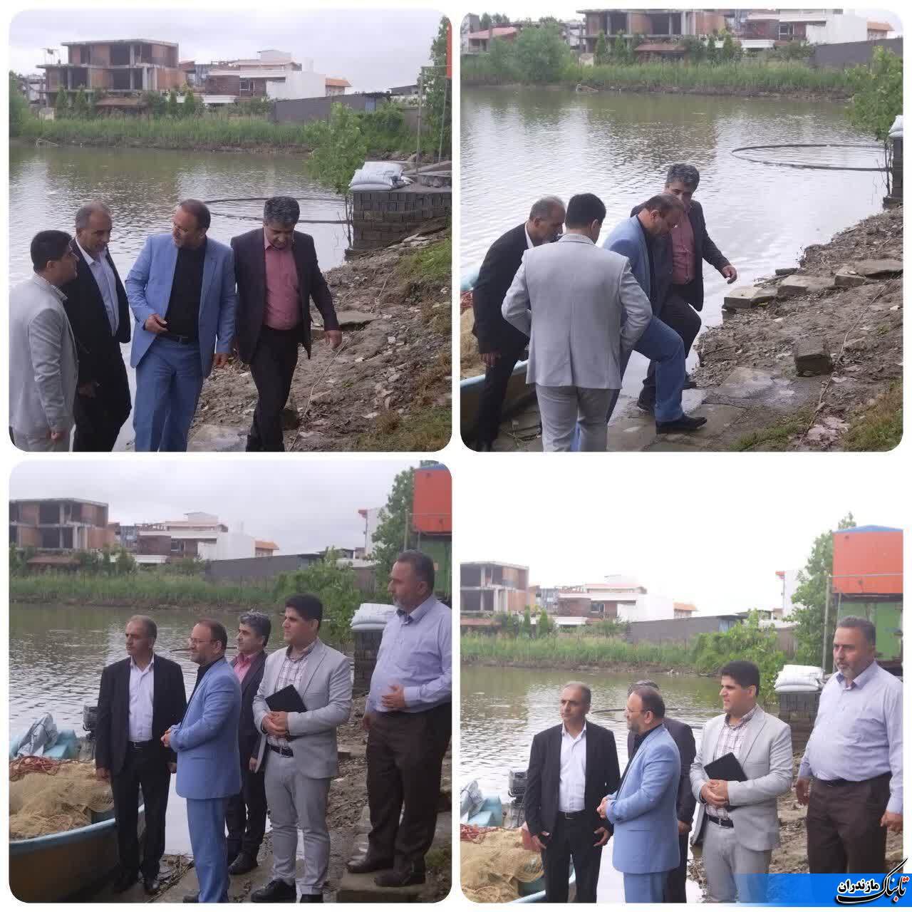 بازدید مدیر کل شیلات استان مازندران  از آب بندان دو منظوره محمود آباد + تصاویر