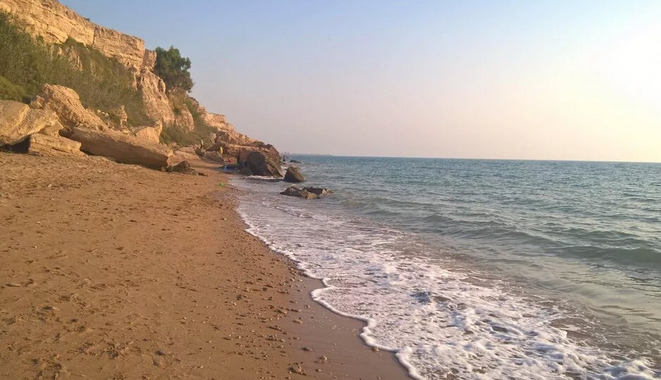 بوشهر، عروس خلیج فارس: سفری به سرزمین ساحل و آفتاب بوشهر، عروس خلیج فارس: سفری به سرزمین ساحل و آفتاب