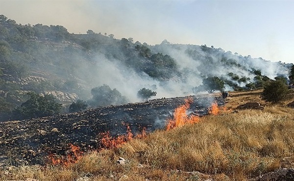 آتشسوزی گسترده در کوه دراک شیراز مهار شد؛ تلاش برای خاموش کردن ضلع شرقی ادامه دارد