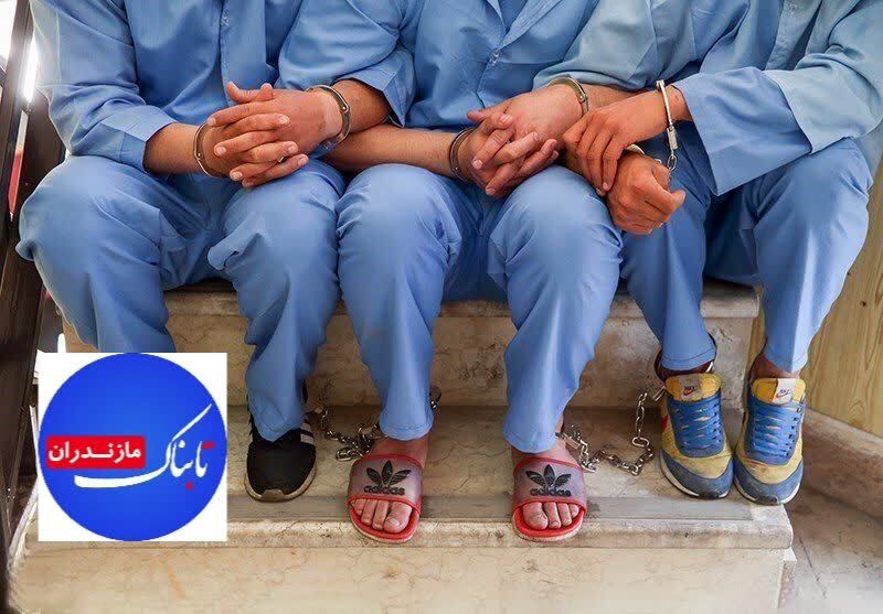 توقیف ۱۵ تن خوراک دام فاقد مجوز در میاندورود