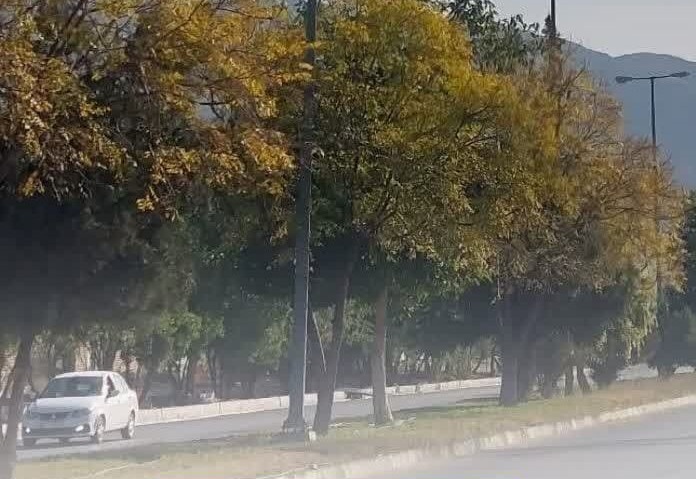 کاهش محسوس دما در فارس، خبری از بارندگی نیست/ سرمای شبانه مهمان استان کاهش محسوس دما در فارس، خبری از بارندگی نیست/ سرمای شبانه مهمان استان