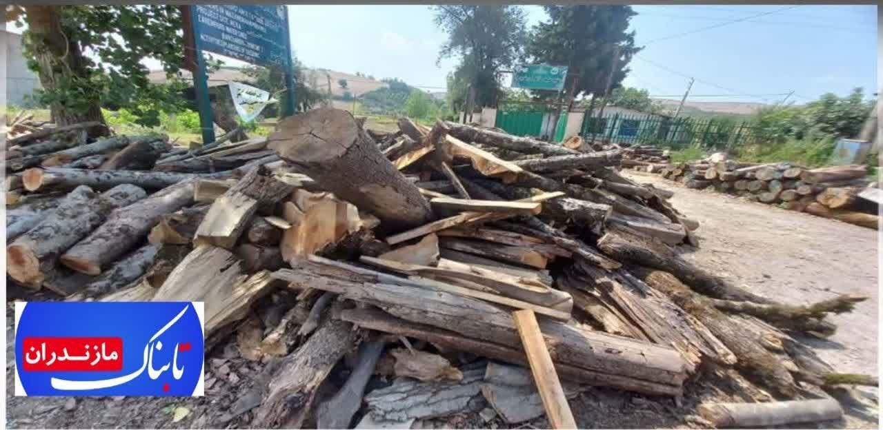 کشف 2 تن زغال از كوره&zwnj;های غيرمجاز در جنگل&zwnj;های نکا