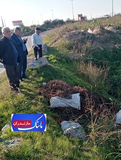 وضعیت بحرانی منطقهی نهر زراعی میرود ساری، نیازمند حمایت مسئولین وضعیت بحرانی منطقهی نهر زراعی میرود ساری، نیازمند حمایت مسئولین