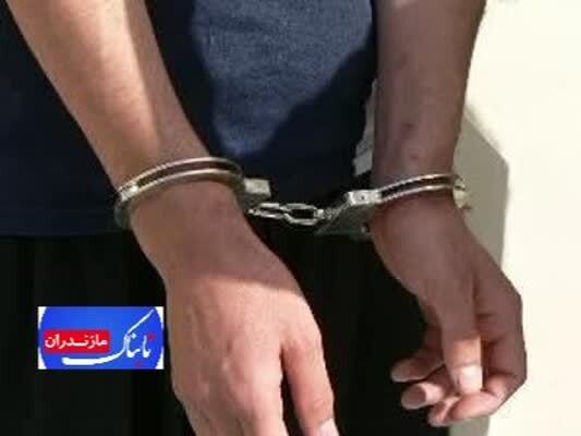 کشف ۲ ميلياردی اموال مسروقه از سارق منزل در نور