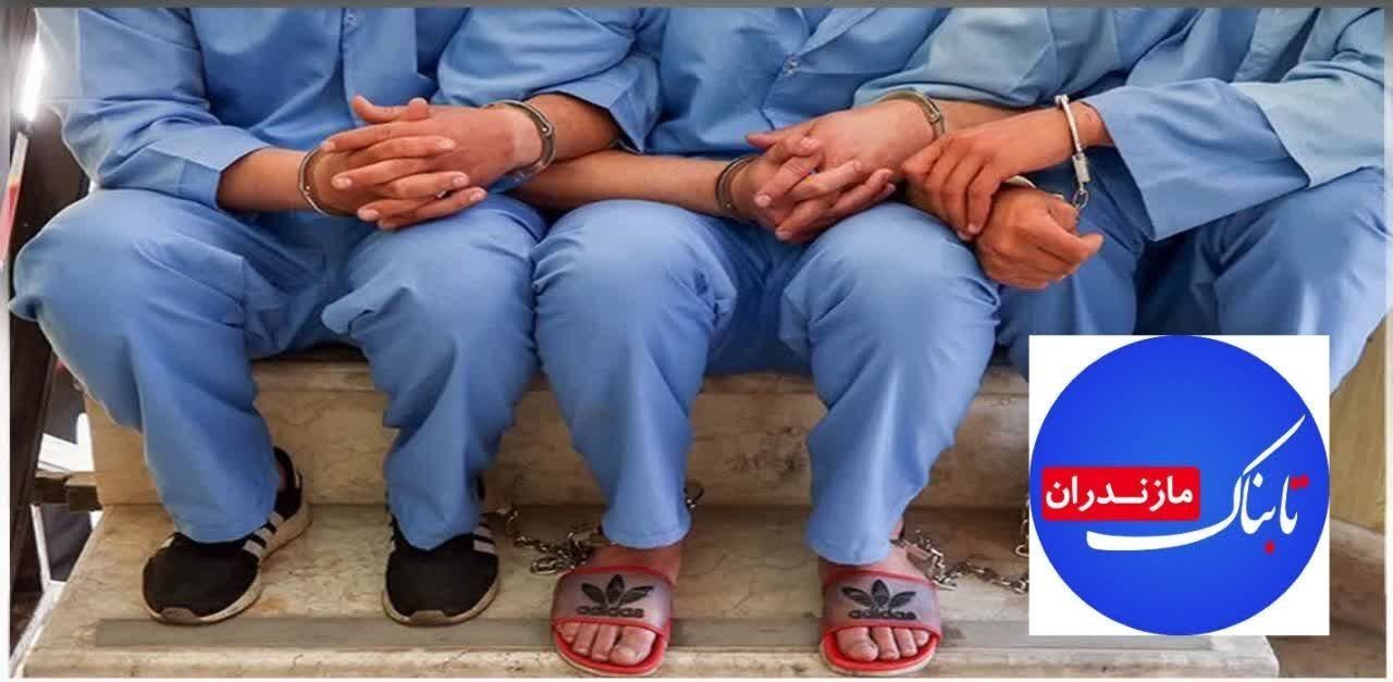 توقيف محموله 15 تنی خوراک دام فاقد مجوز در مياندورود