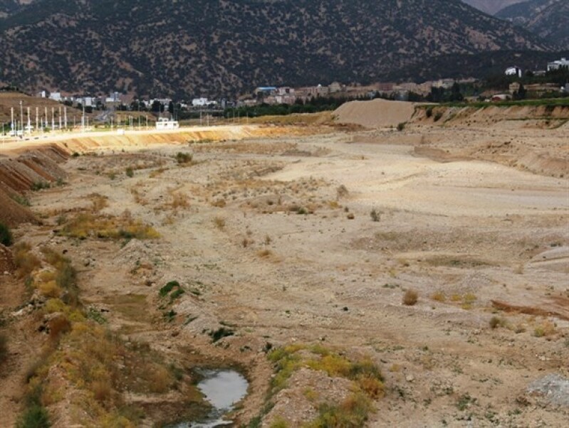 از اتاق جلسات تا دل جنگلها؛ آزمون سخت حکمرانی زیستمحیطی در کهگیلویه و بویراحمد از اتاق جلسات تا دل جنگلها؛ آزمون سخت حکمرانی زیستمحیطی در کهگیلویه و بویراحمد