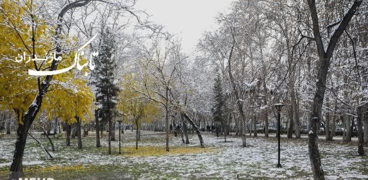 مازندران سفیدپوش می‌شود