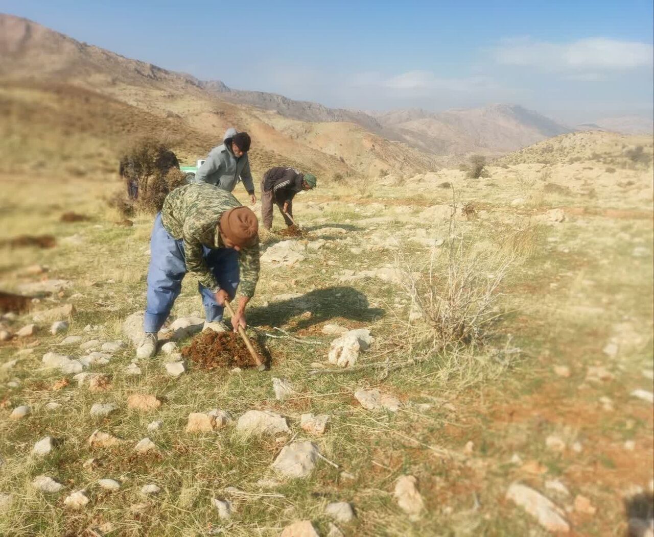 تزریق ۴۰۰ کیلوگرم بذر گیاهان دارویی و مرتعی به اراضی تخریبشده دهگلان تزریق ۴۰۰ کیلوگرم بذر گیاهان دارویی و مرتعی به اراضی تخریبشده دهگلان