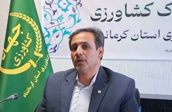 کرمانشاه، قطب تولید شیر و گوشت با زنجیره ارزش کامل