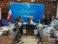 زراعت چوب در استان مازندران توسعه می‌یابد
